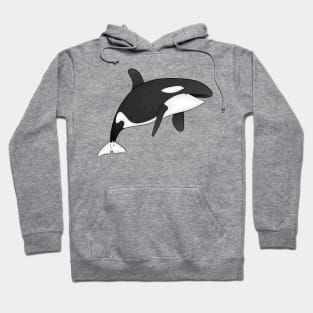 Killer whale cartoon illustration Hoodie